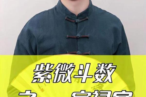 紫薇斗数看事业宫