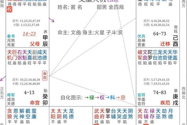 紫薇斗数行限推算法书价格