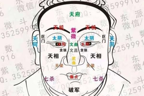 紫薇斗数什么星更好