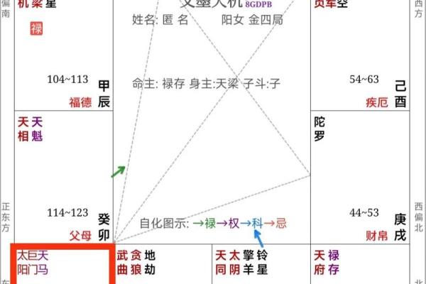 紫薇斗数怎么算命
