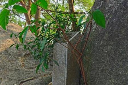 深圳凤凰山算命