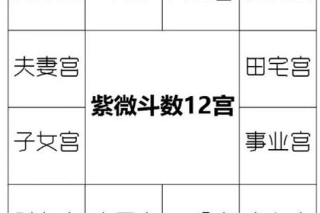 紫微斗数父母宫疾病恶化 紫微命盘父母宫？