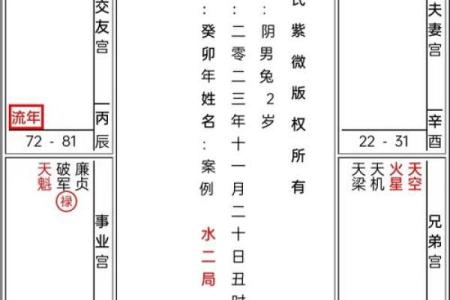 紫薇斗数定盘软件