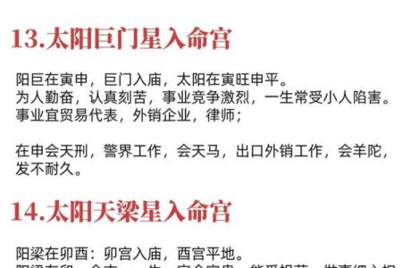 天机紫薇斗数长相