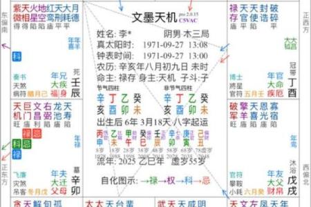 紫薇斗数太阳迁徙