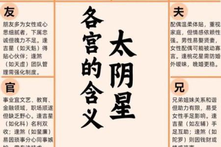 紫薇斗数看事业宫