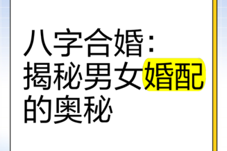 婚配八字合婚