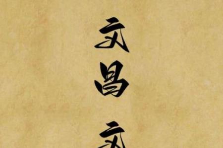 紫薇斗数文曲陷