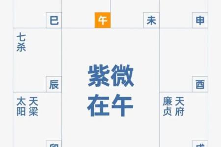 揭露紫微斗数 紫微斗数介绍？