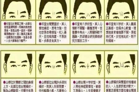 面部八字纹