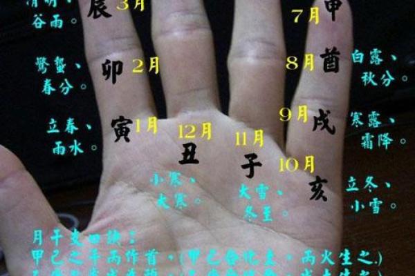 怎么算命用手就行