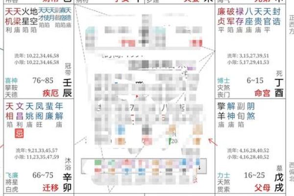 紫薇斗数命盘带帝旺是什么意思