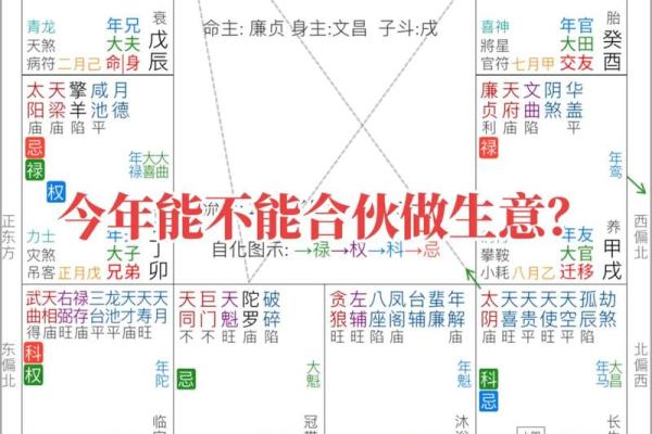 紫薇斗数工作怎么看