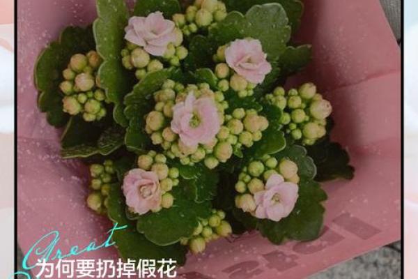 解答关于假花对风水有什么影响