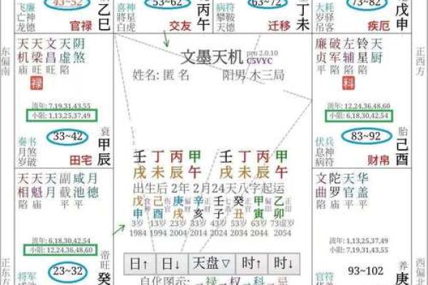 神巴巴紫薇斗数排盘