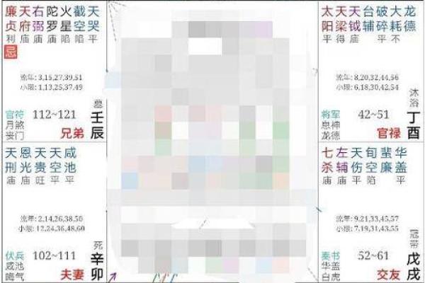 紫微斗数天府在疾厄宫