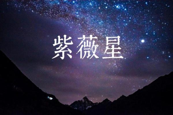 紫薇星年运势