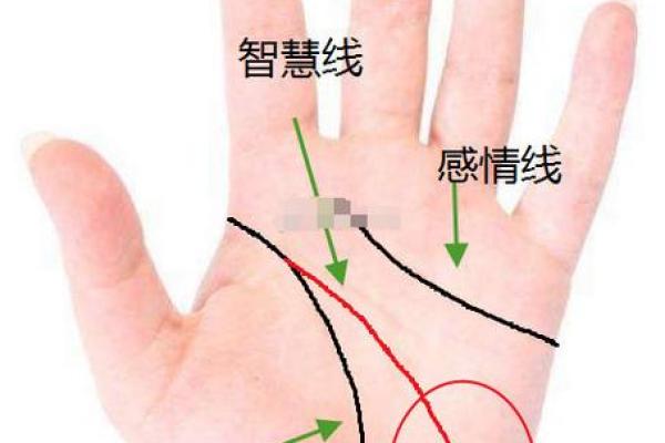 手相算命，从手相看你聪明度有多高？