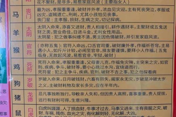 前后无遮挡 风水好吗
