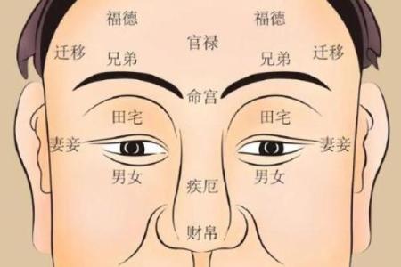 六害眉面相算命图解