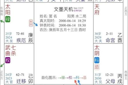 紫薇斗数的四化大运是什么