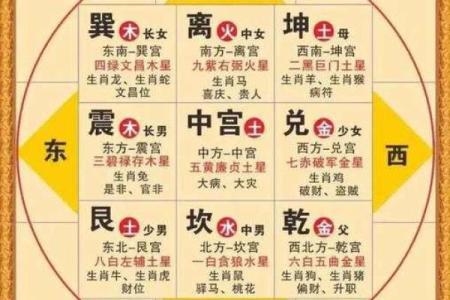 玩转地球紫薇斗数