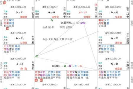 紫薇斗数看子女宫