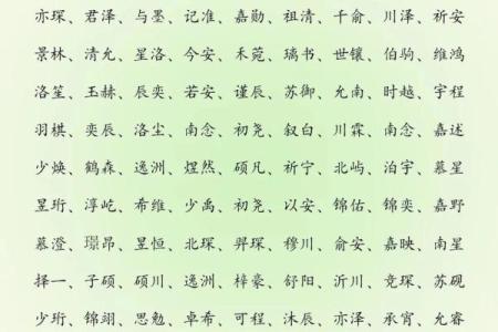 2019年5月18号寅时出生的男孩要怎么起名字姓名