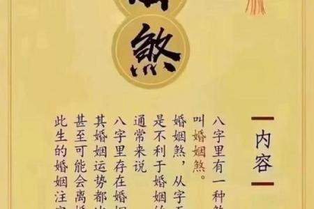 八字姻缘深是什么意思