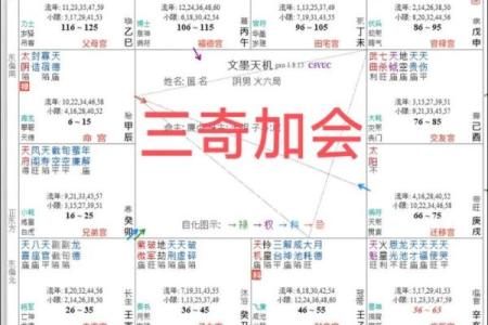 紫薇斗数同盘会怎样
