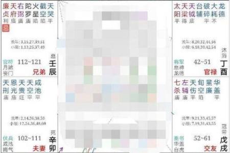 紫微斗数天府在疾厄宫