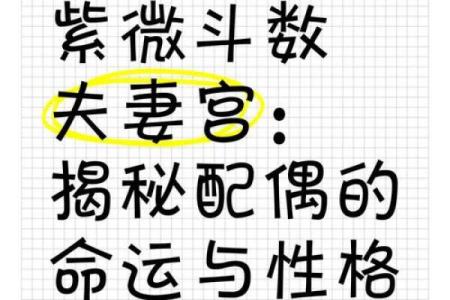 紫薇斗数夫妻天才