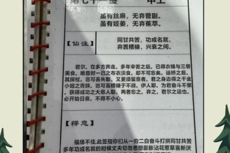 单身抽到月老灵签21签