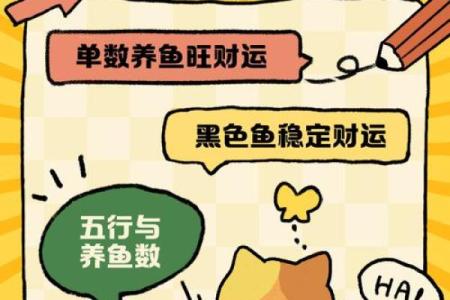 风水观点养鱼养几条旺财风水