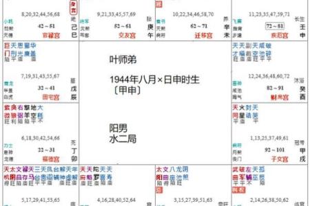 紫薇斗数事业有成