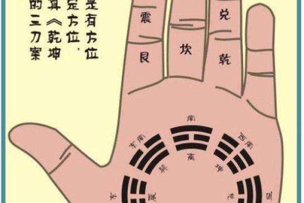 怎么看手相算命？只看男左女右对吗？