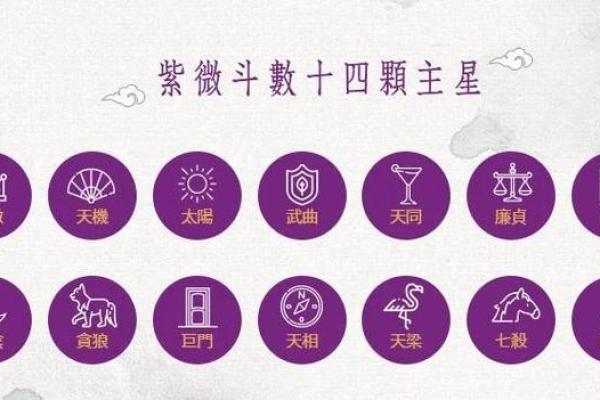 紫薇斗数各星相