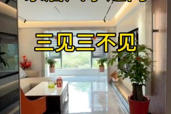 家居风水一进门看见什么好-