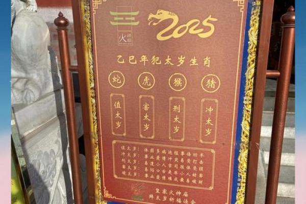 真武灵签用法教程全解