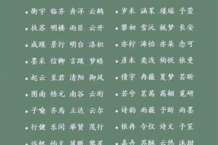 “免费身辰八字起名，让宝宝名字易记易懂易搜索！”