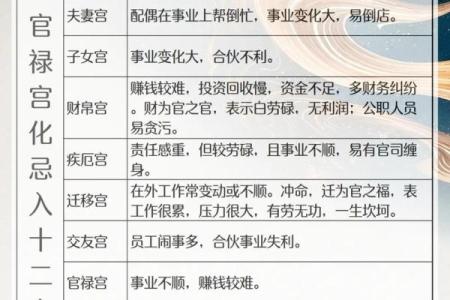 生年紫微斗数 紫薇斗数生年忌？