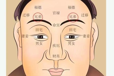 眉毛算命
