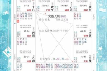 紫微斗数之诸星值限年运气推断：巨门星之年