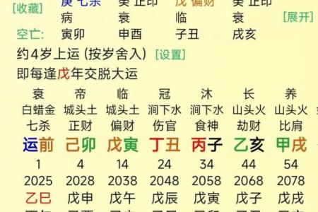 巳时算命,巳时出生的人运势