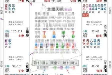 紫薇斗数高人解盘