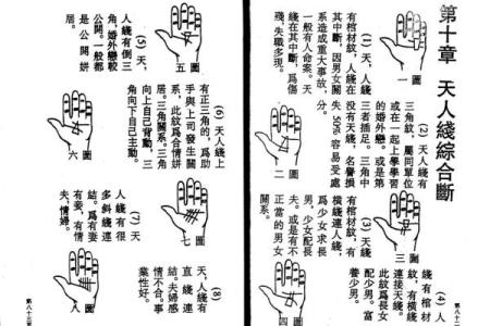 看手相算命大师免费下载
