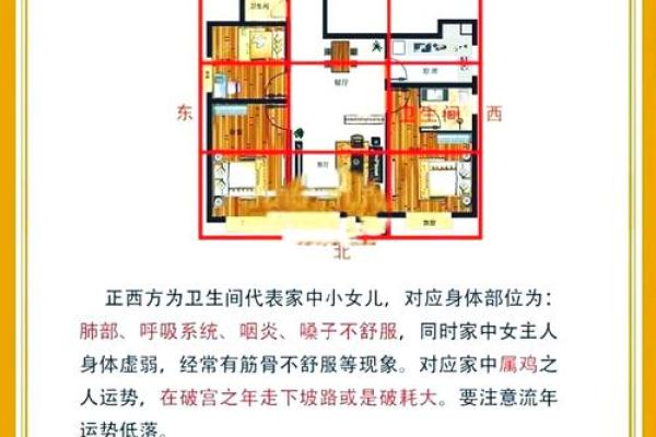 房子里新建厕所风水禁忌