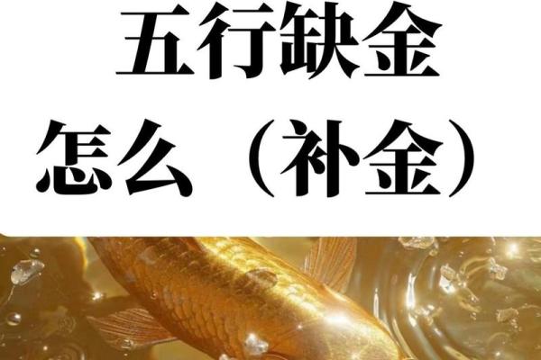 八字五行金