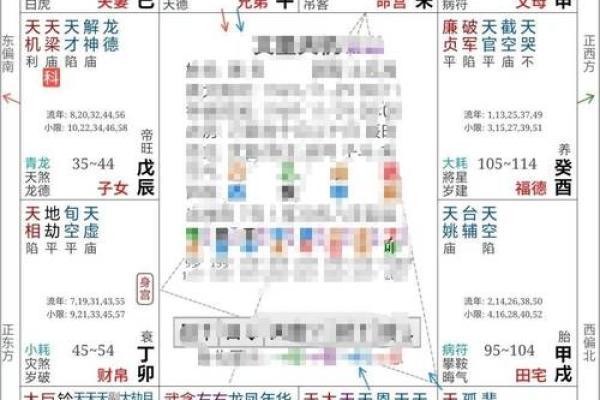 紫薇斗数在排盘