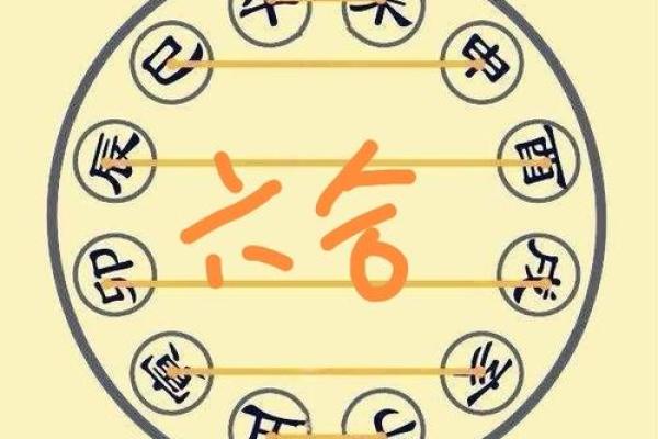 马年八字
